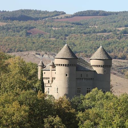Chateau De Lugagnac Riviere-sur-Tarn Екстер'єр фото