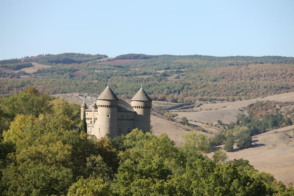 Chateau De Lugagnac Riviere-sur-Tarn Екстер'єр фото